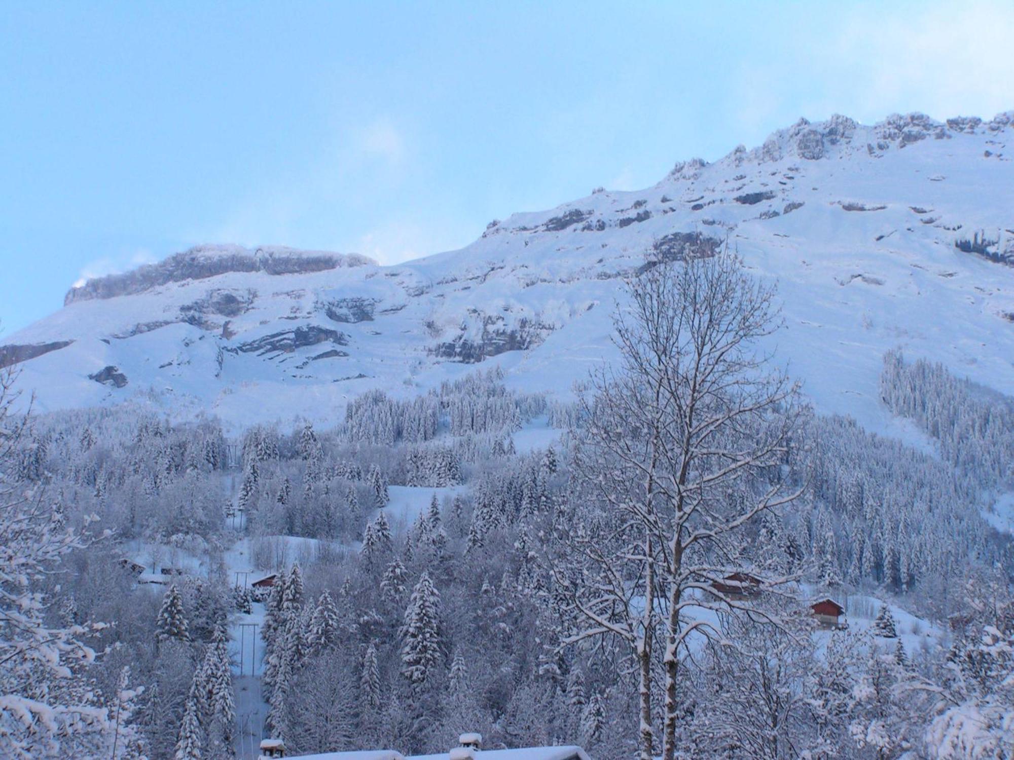 Apartment Chalet Des Cascades