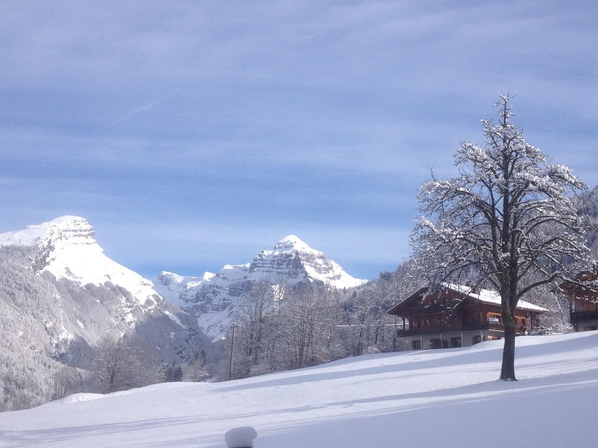 Chalet Des Cascades Apartment Sixt